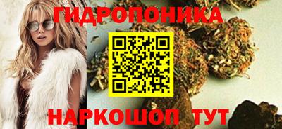 молекула духа Волжский
