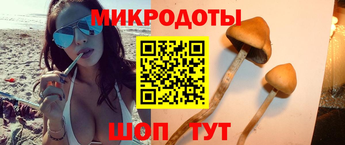 Псилоцибиновые грибы Psilocybine cubensis Наро-Фоминск